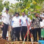 Di Gunungkidul, Presiden Buka HMPI dan Tengku Erry Tanam Pohon Nangka
