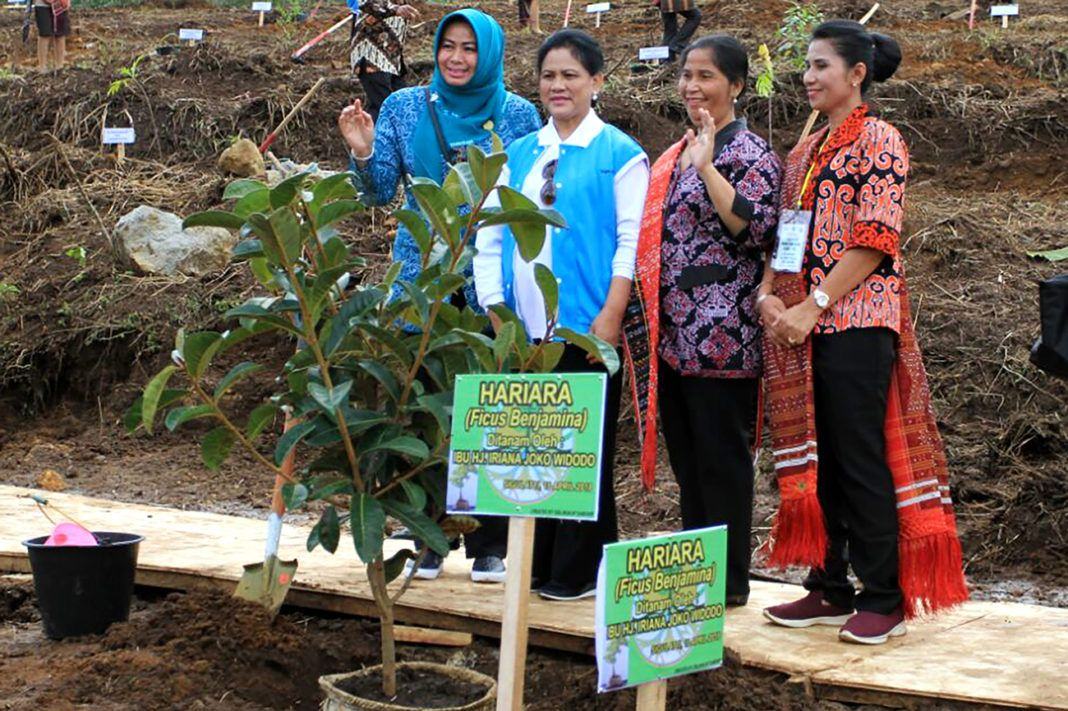 Iriana Jokowi Tanam Pohon