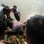 Mayat Pasutri Korban Mobil Nyungsep di Sungai Wampu Akhirnya Ditemukan