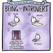 Sekilas Tentang Introvert
