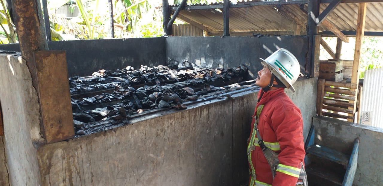  Pabrik  Kelapa Kopra  di Pangandaran Terbakar Portal 