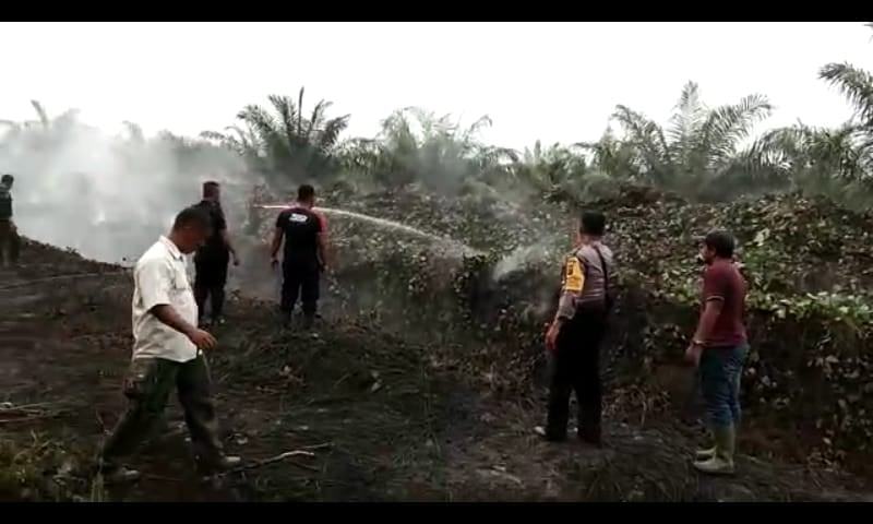 PT Tolan Tiga Indonesia (SIFEF), Parit Pembatas Kebun Terbakar
