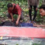 Mayat Labuhanbatu Utara, Ditemukan Karyawan PTPN III