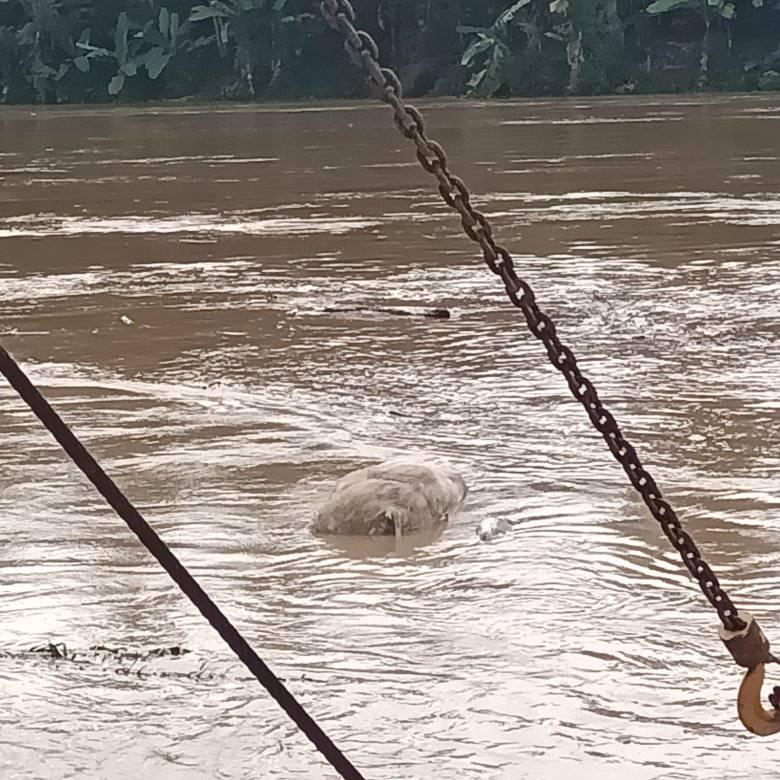 Bangkai Babi Sungai Wampu, Sudah 8 Ekor Hanyut