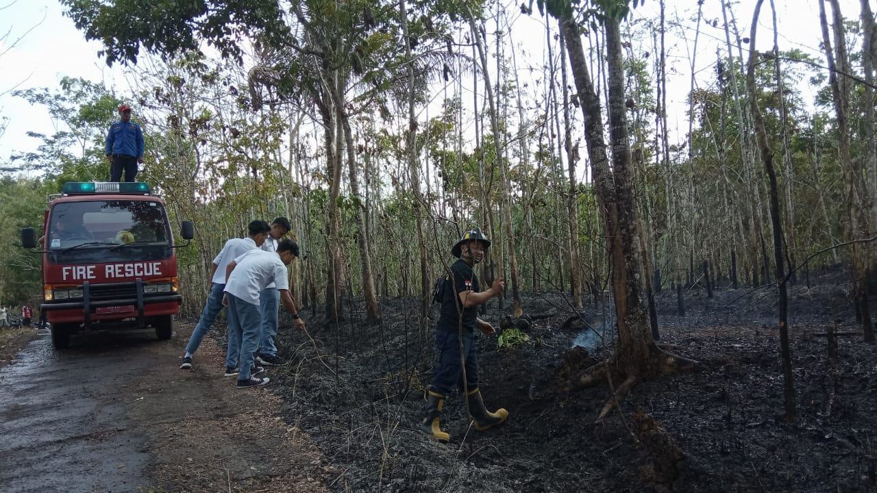 Kebakaran Lahan Banjar, Lahan Jati 2 Hektar Hangus