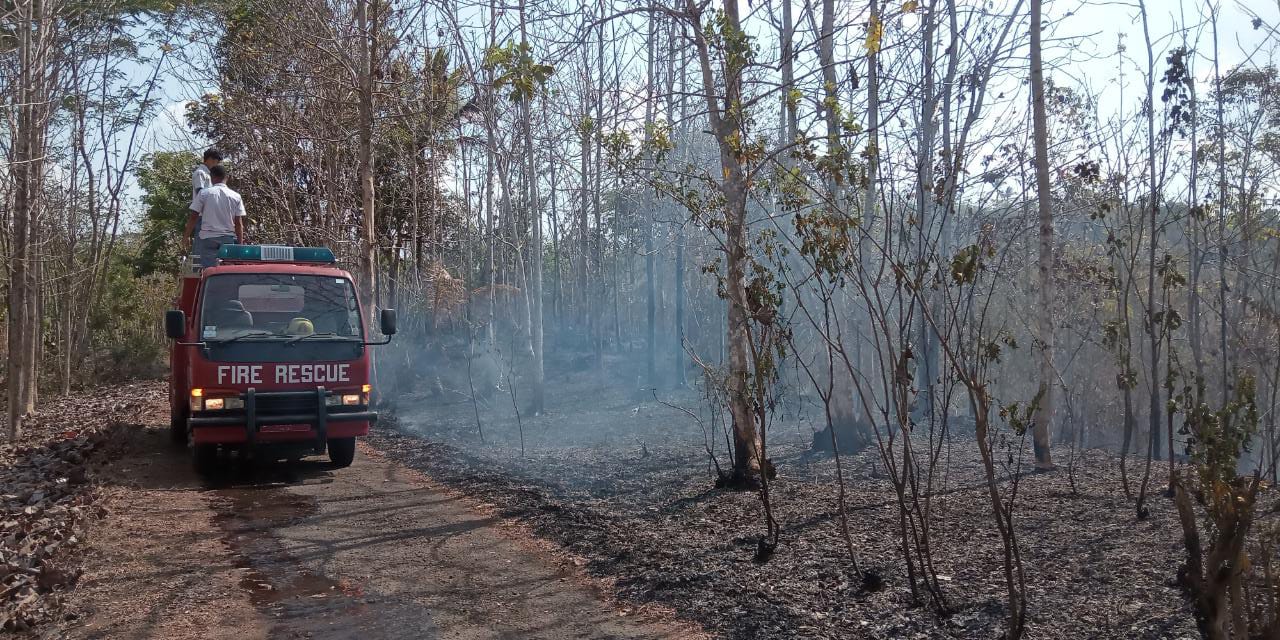 Kebakaran Lahan Banjar, Lahan Jati 2 Hektar Hangus
