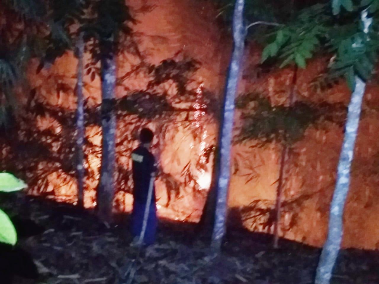 Kebakaran Banjar, 5 Hektare Lahan Milik Warga Dilalap Si Jago Merah