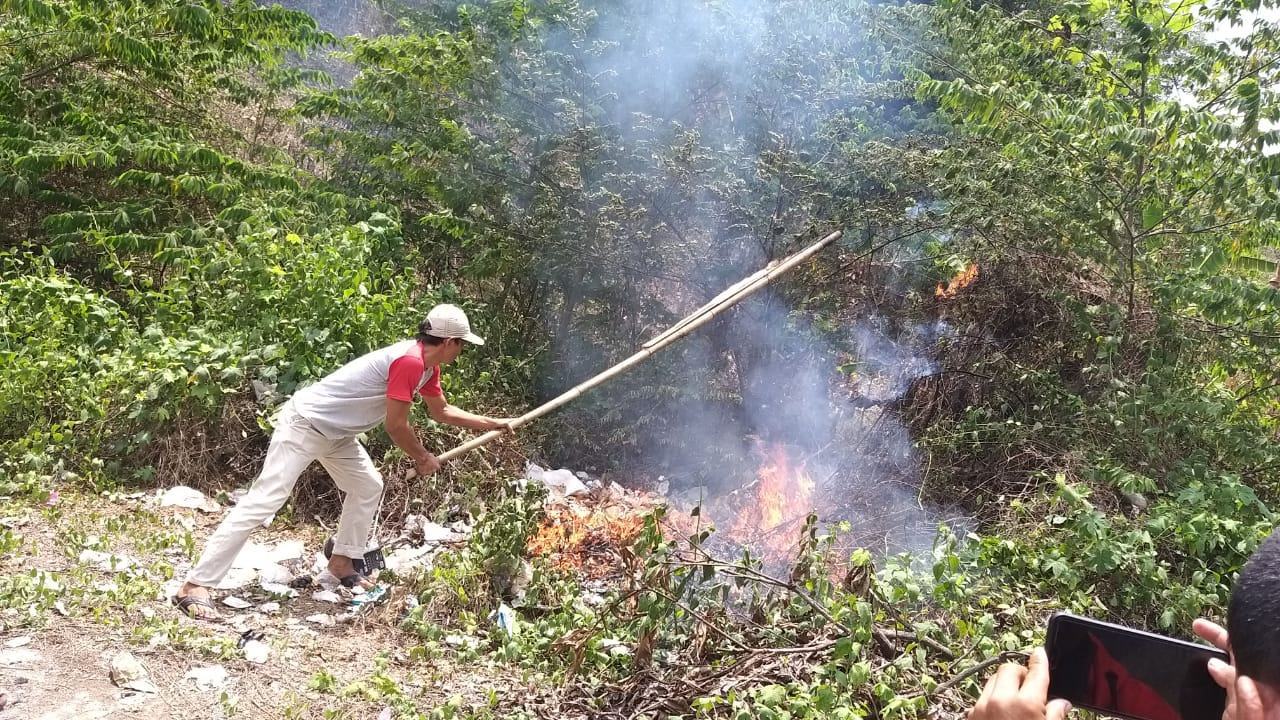 Lahan Bambu PT APL Terbakar, Diduga Api Berasal Pembakaran Kayu