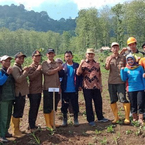 Tagana Ciamis, Bersama PP KPH Ciamis dan BKPH Banjar Selatan Lakukan Gerakan Tanam Pohon
