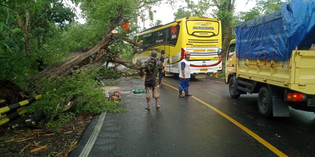 Hujan di Banjar, Pohon Asem Tumbang Menutup Jalan Nasional