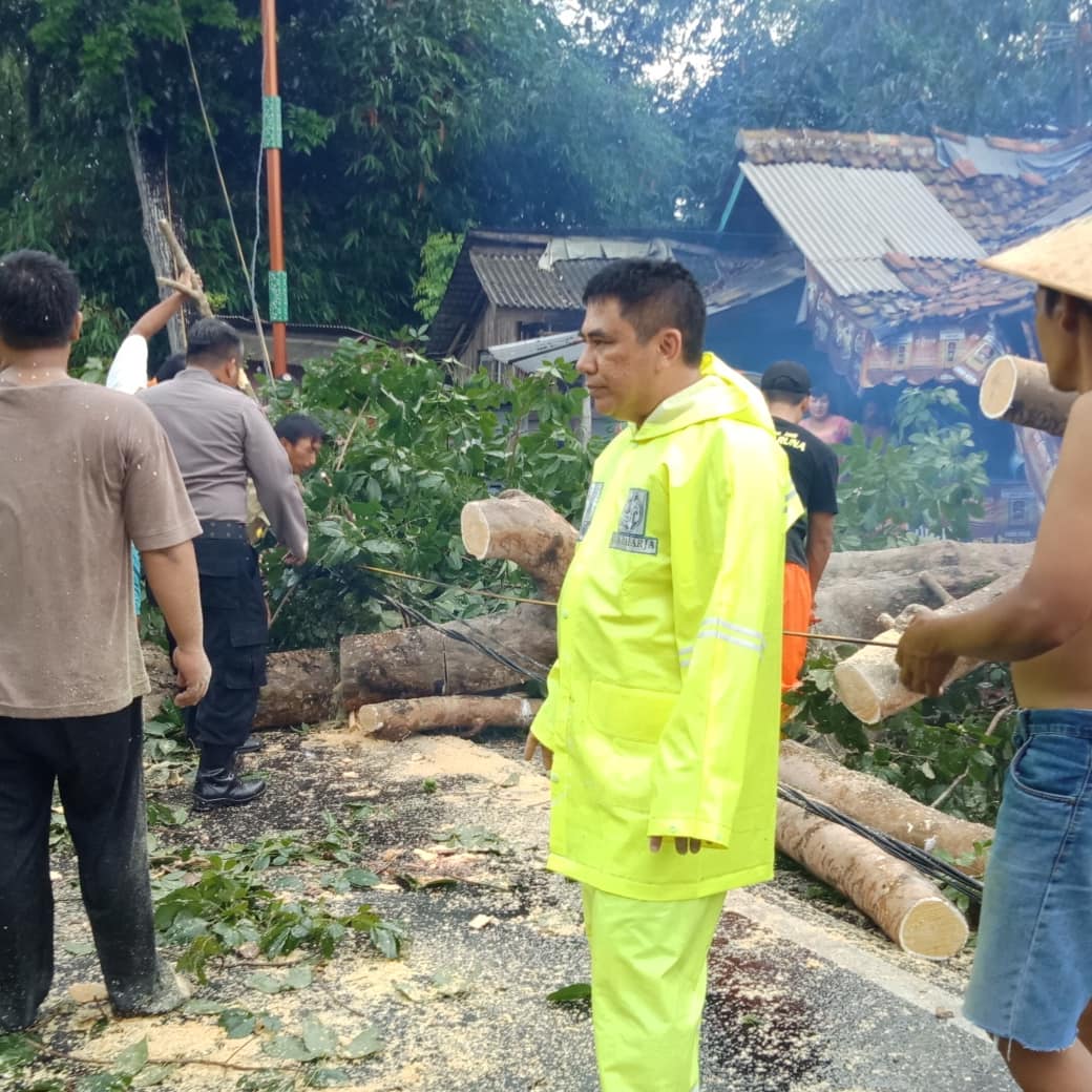 Hujan dan Angin Kencang Banjar, Polsek Pataruman Bersama Relawan Evakuasi Pohon Tumbang