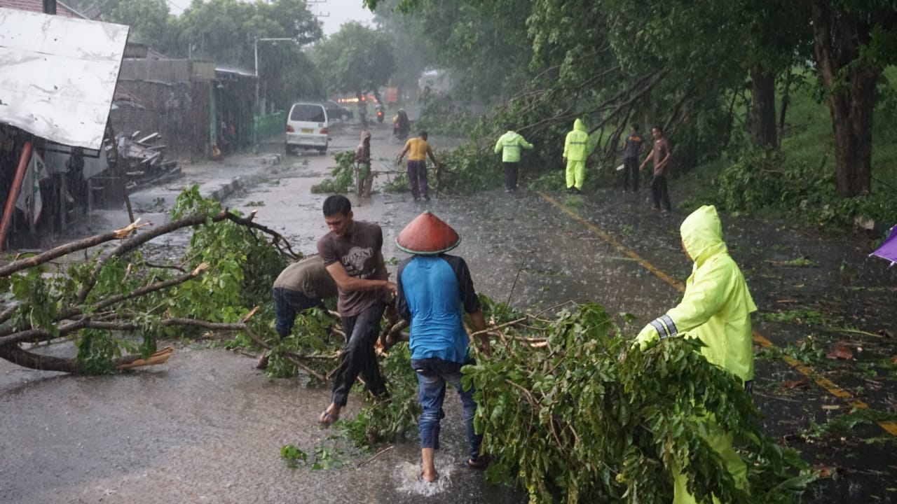 Timsus Siaga Bencana Polres Banjar, Terjun Langsung Evakuasi Pohon Tumbang di Jalan Raya