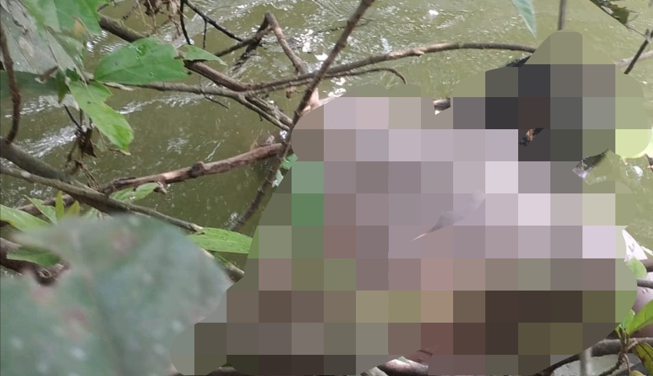 Hanyut di Sungai Asahan, Tim Gabungan Temukan Jasad Pemuda Tersangkut Diranting Kayu