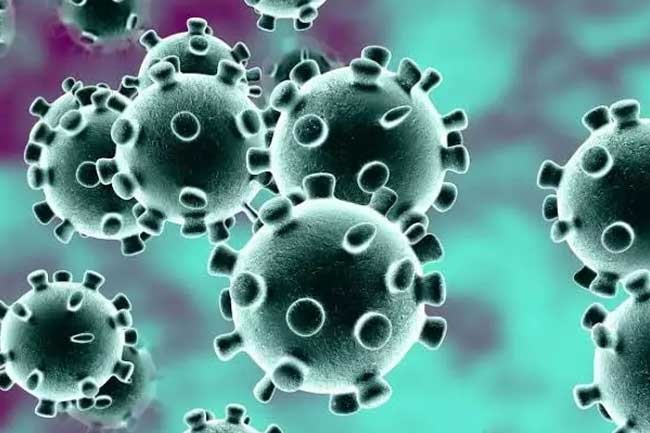 Virus Corona di Indonesia Diprediksi Akan Berakhir 6 Juni