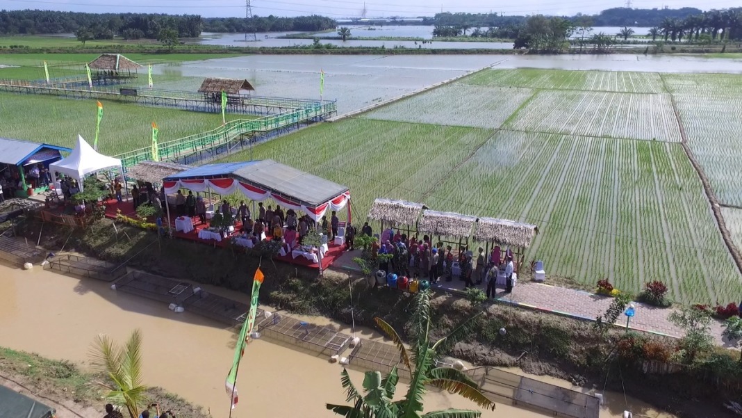 Camat Tanjung Morawa, Apresiasi Kampung Paten Desa Punden Rejo Sebagai Ketahanan Pangan