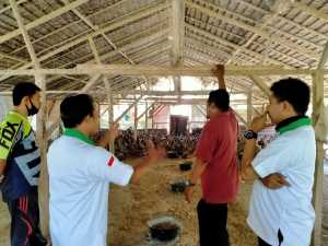 HKTI Tebing Tingg, Tinjau Langsung Lokasi Peternakan Bebek Petelur