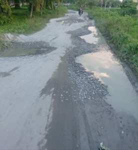 Warga Desa Kuala Lama Sergai, Meminta Pembangunan Jalan Rusak dan Lampu Jalan Segera Diperbaiki