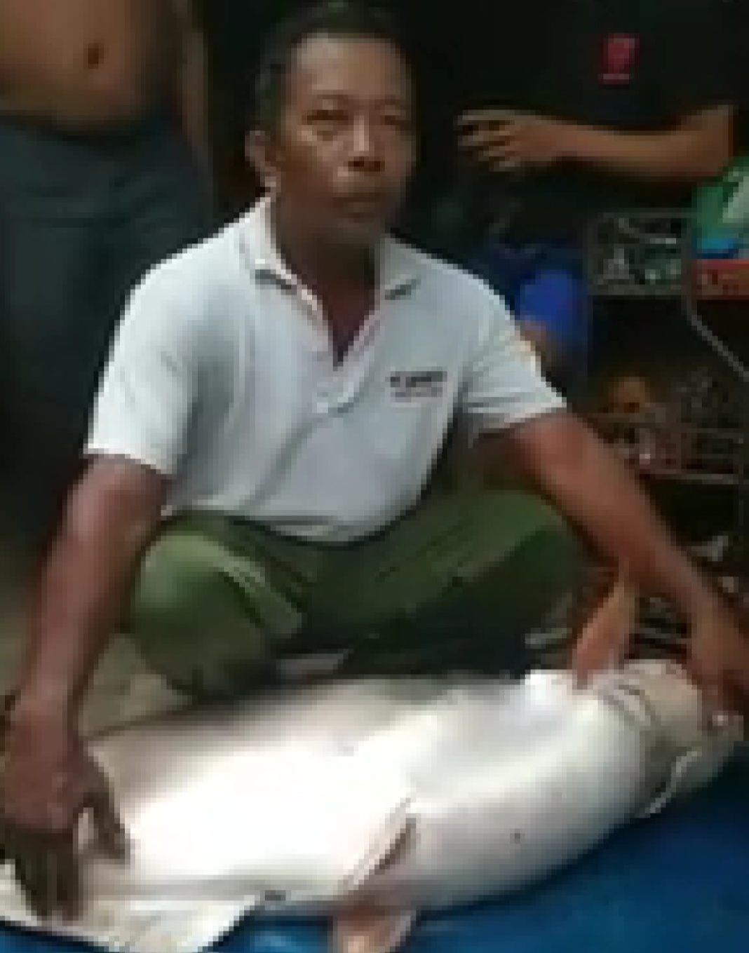 Viral Ikan Patin 50 Kg Tertangkap di Sungai Pelawi Langkat, Warganet Kaitkan dengan Peristiwa Danau Toba