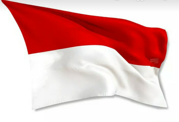 Pembakar Bendera Merah Putih di Lampung Ditetapkan Sebagai Tersangka
