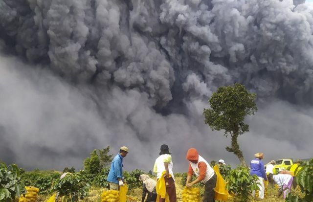 Erupsi Gunung Sinabung, Petani Alam Kerugian Hingga Rp41 Miliar