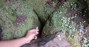 Fenomena Batu Marhosa di Pulau Samosir (2)