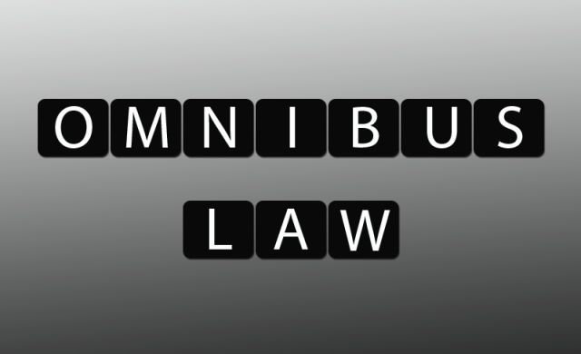 Pakar Hukum Tata Negara, Sebut Omnibus Law Cuma Buang-buang Waktu dan Biaya