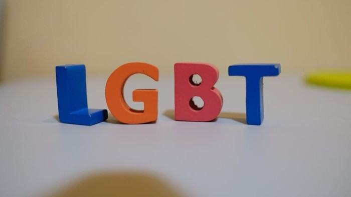 Brigjen EP Dijatuhi Sanksi Nonjob-Pensiun karena Kasus LGBT