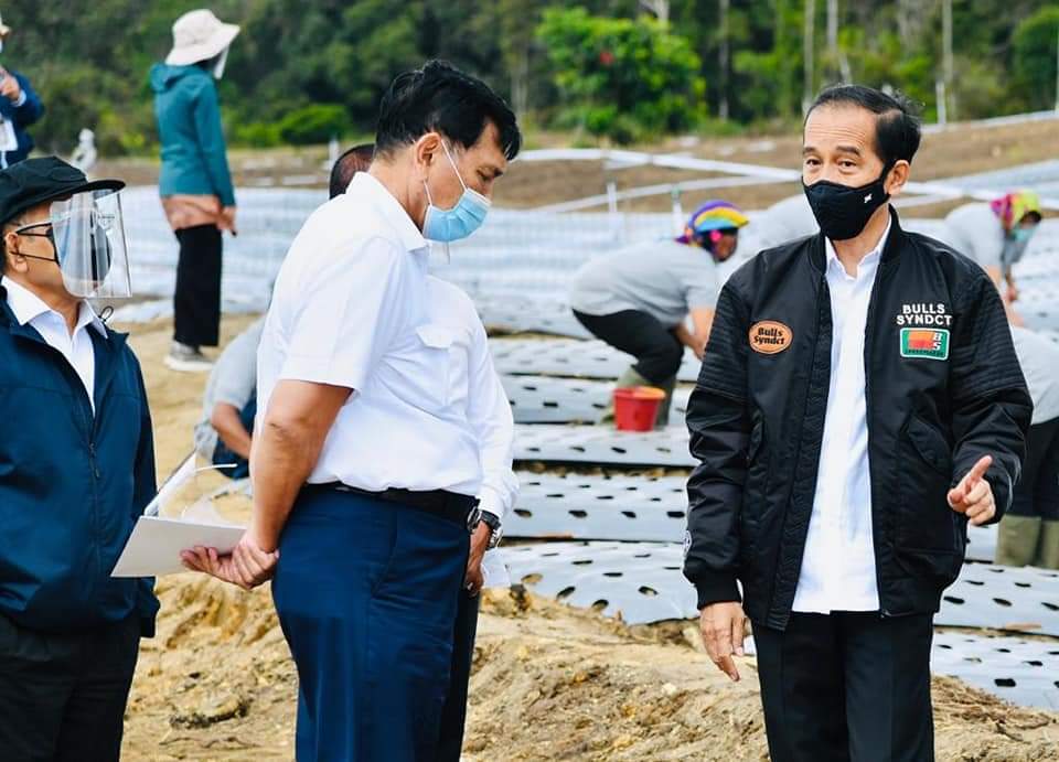 Presiden Jokowi ke Sumatera Utara, Tinjau Kawasan Lumbung Pangan Baru 