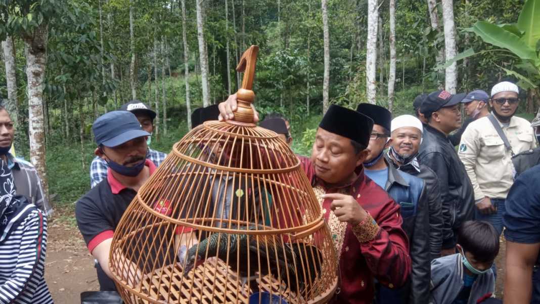 Wakil Gubernur Jawa Barat, Resmikan Wisata Alam Curug Tabraya