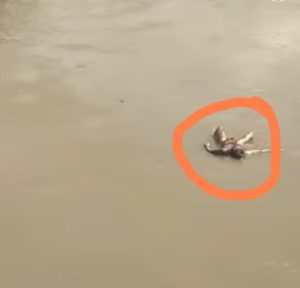 Mayat di Sungai Wampu Langkat