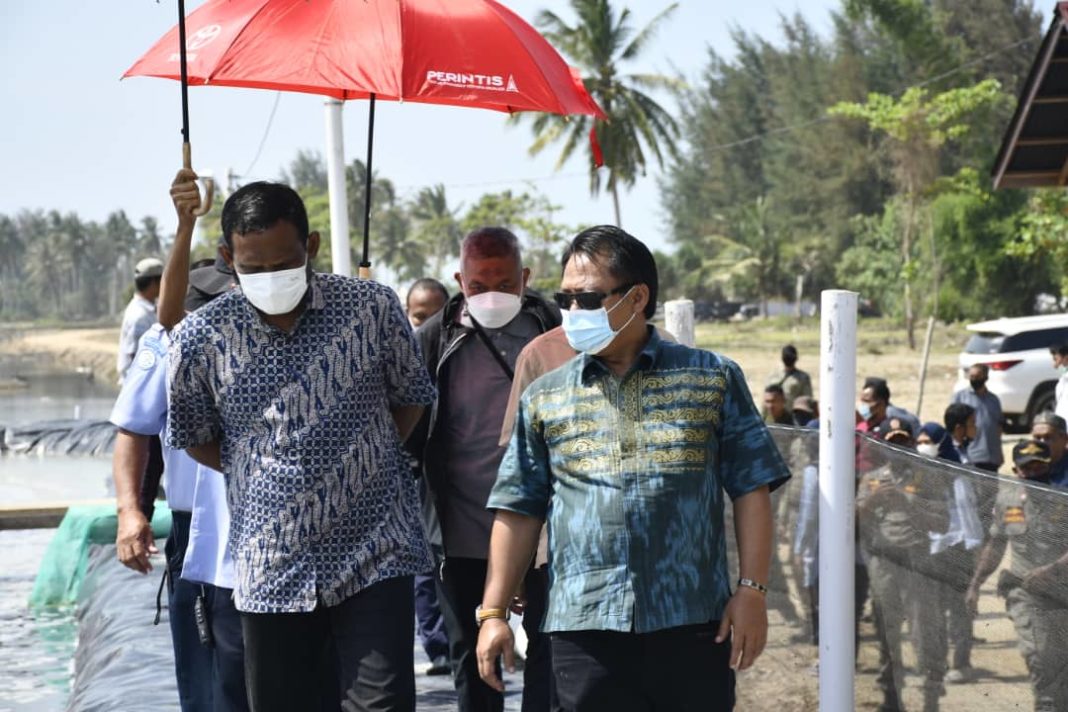 KKP Turunkan Tim Untuk Shirmp Estate di Aceh Timur